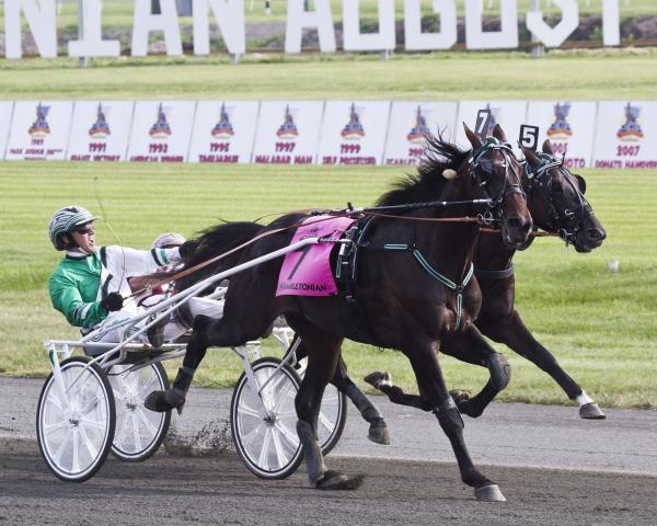 NS Hambo Finish_2_0.jpg