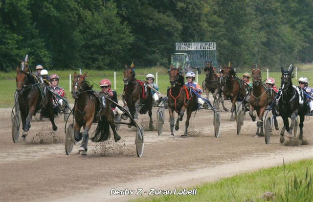 Zoran Lobell Derby a.jpg