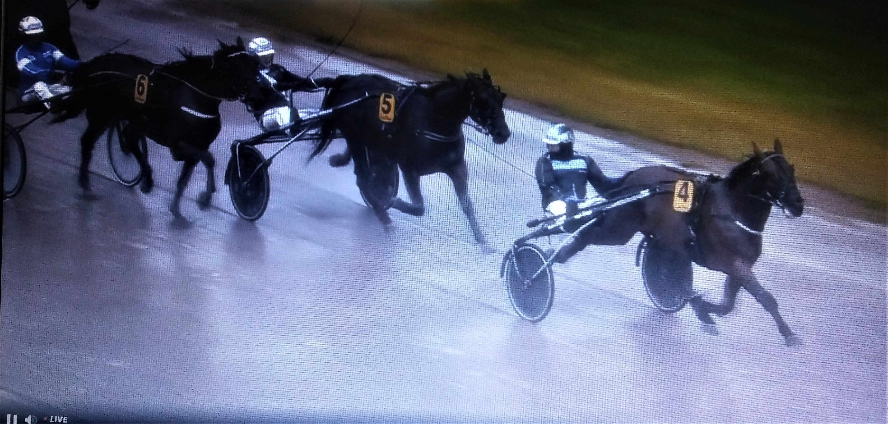 Ivory Di Quattro.jpg