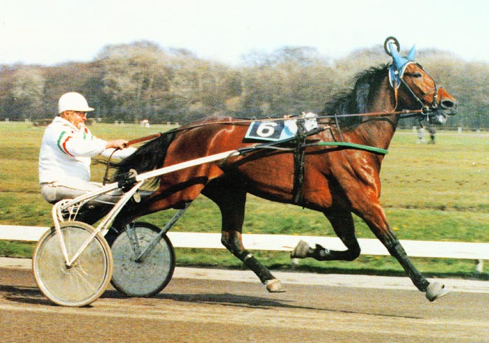 Rainier Gallant.jpg