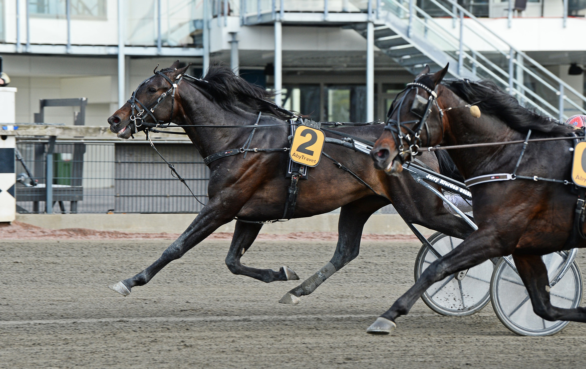 aetos-kronos-vinner-fore-don-fanucci-zet-768760.jpg