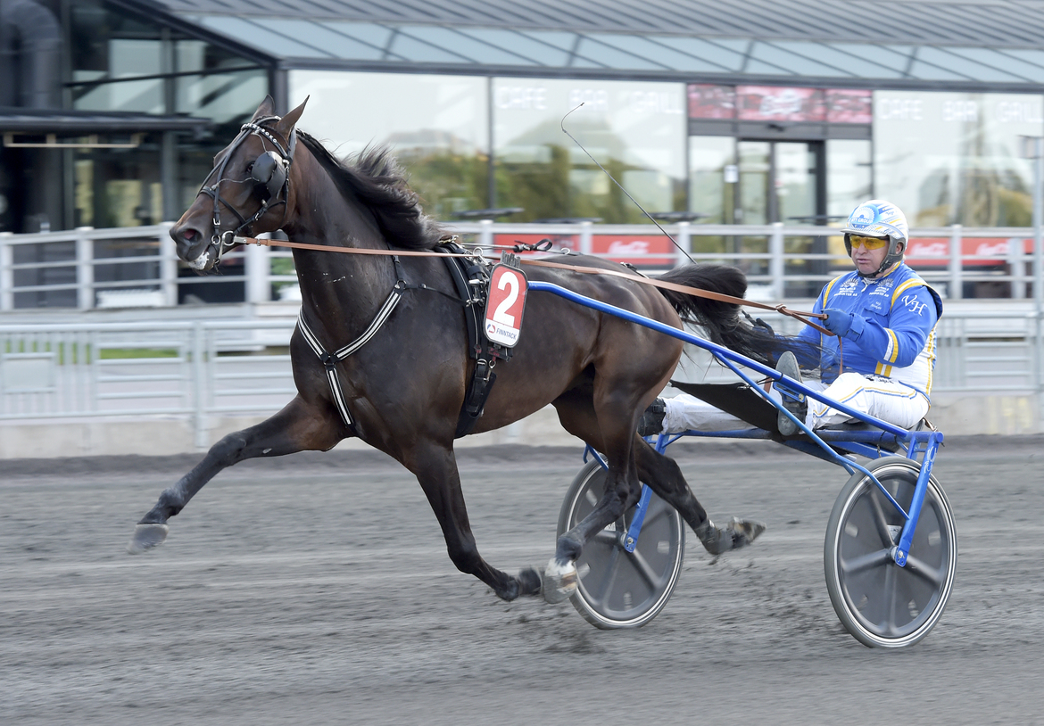 kurri-jari-boko-3-jpg-777291.jpg