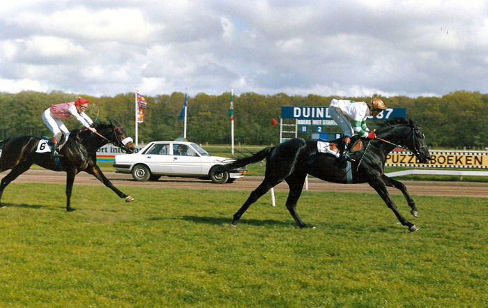 Anthonys Dream GB Heemstra 87.jpg