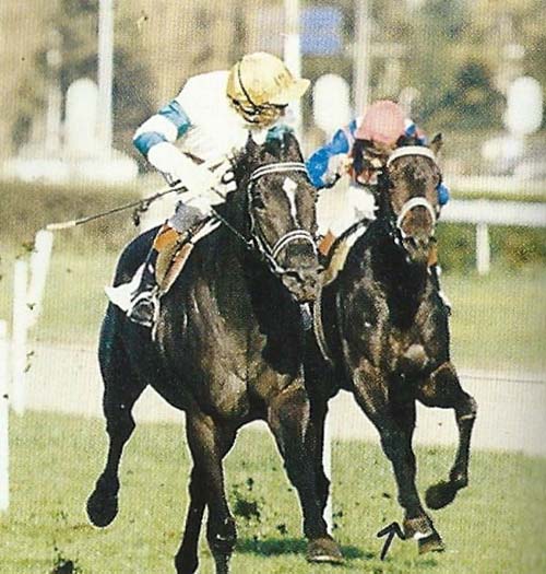 Anthonys Dream St Leger 87.jpg