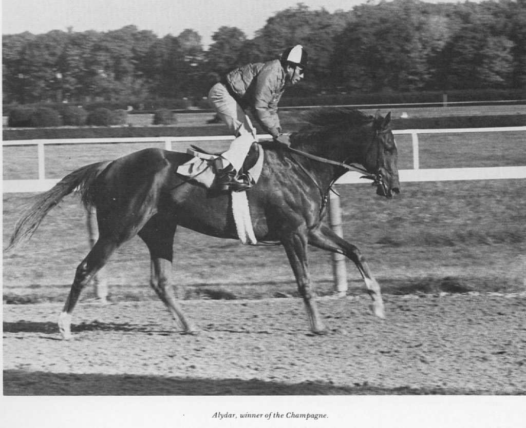 alydar802.jpg
