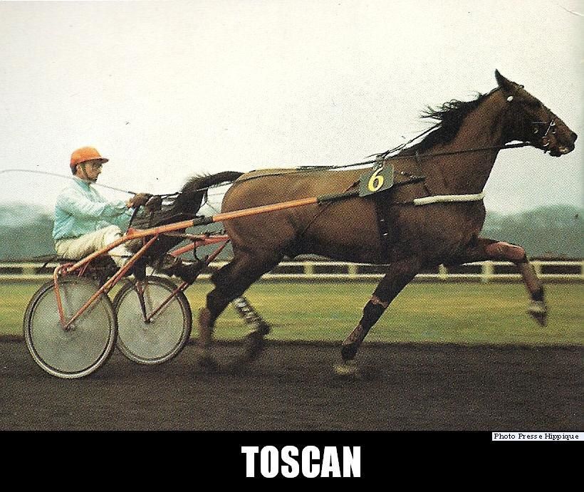 Toscan-numerisation0019.jpg