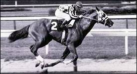 secretariat.jpg