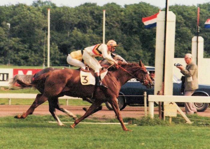 Fieldmaster Derby 74 opzij.jpg