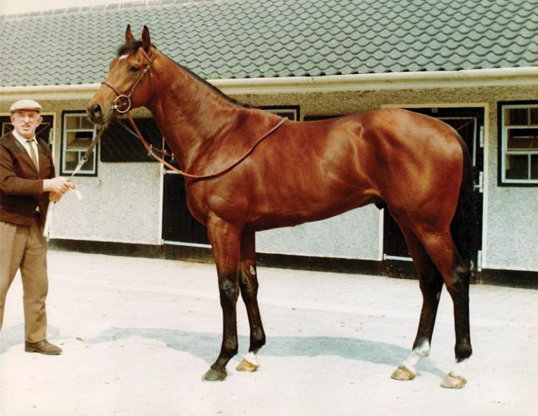 nijinsky_ii-main.jpg
