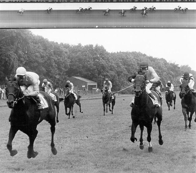 Pink Tank Gold Cup 79 (1).jpg