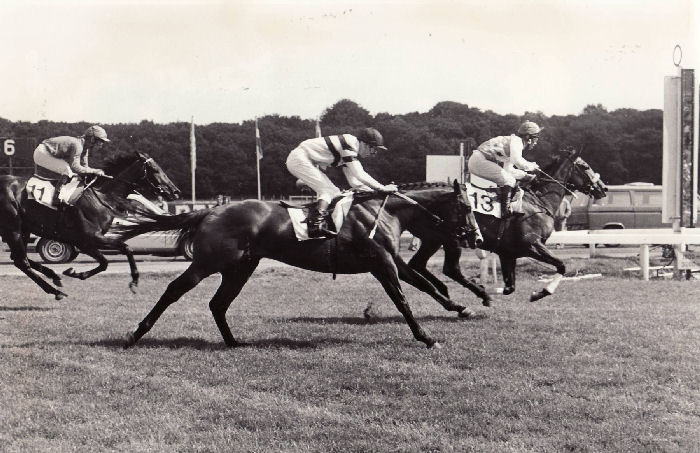 Miss Facette Derby.jpg