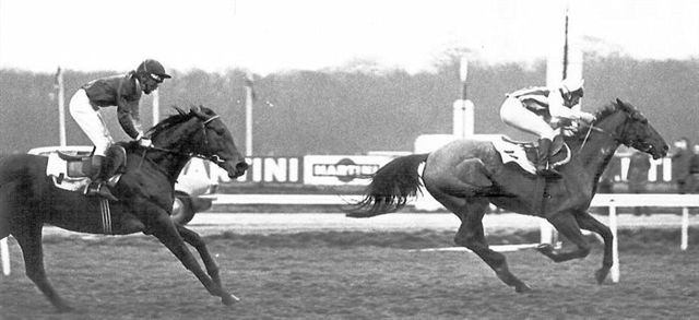 Jingo 22-3-75.jpg