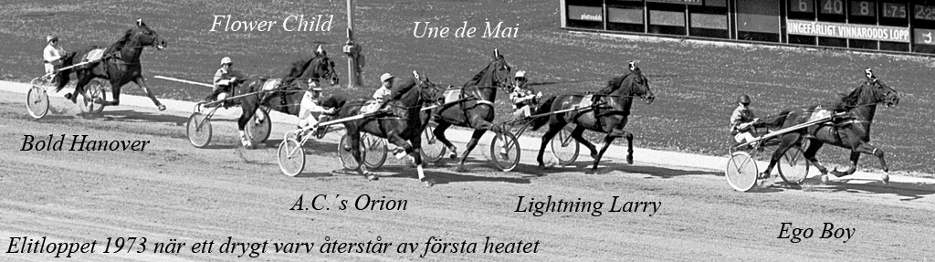Elitloppet 1973 1.jpg