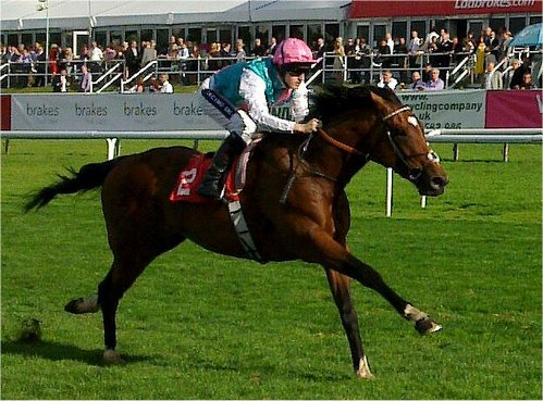 Frankel_(horse).jpg