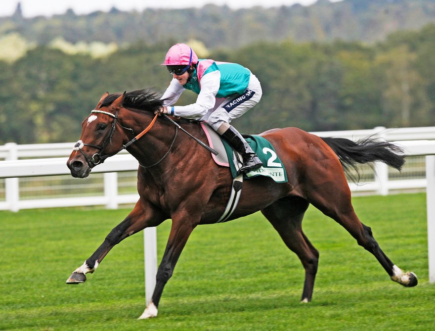 Frankel-racehorse.jpg