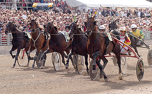STEINLAGER_2005_large.jpg