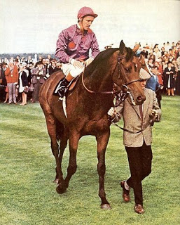 brigadier_gerard (1).jpg