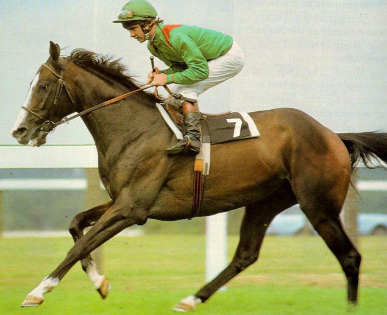 shergar-768x626.jpg