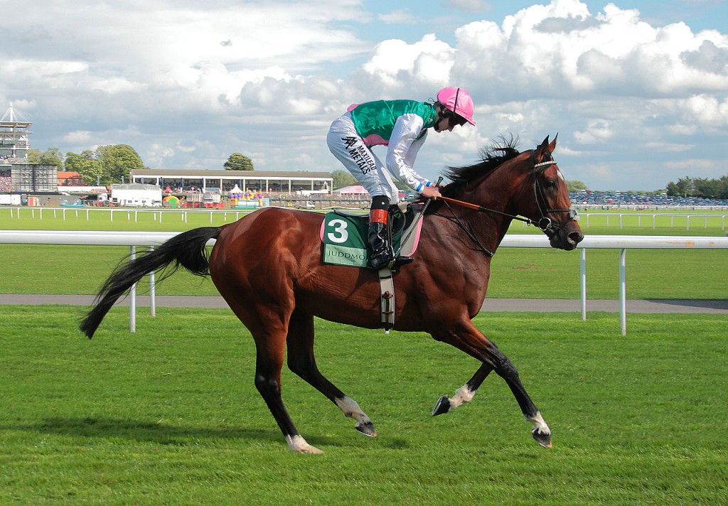 Frankel_at_York_2013-1024x712.jpg