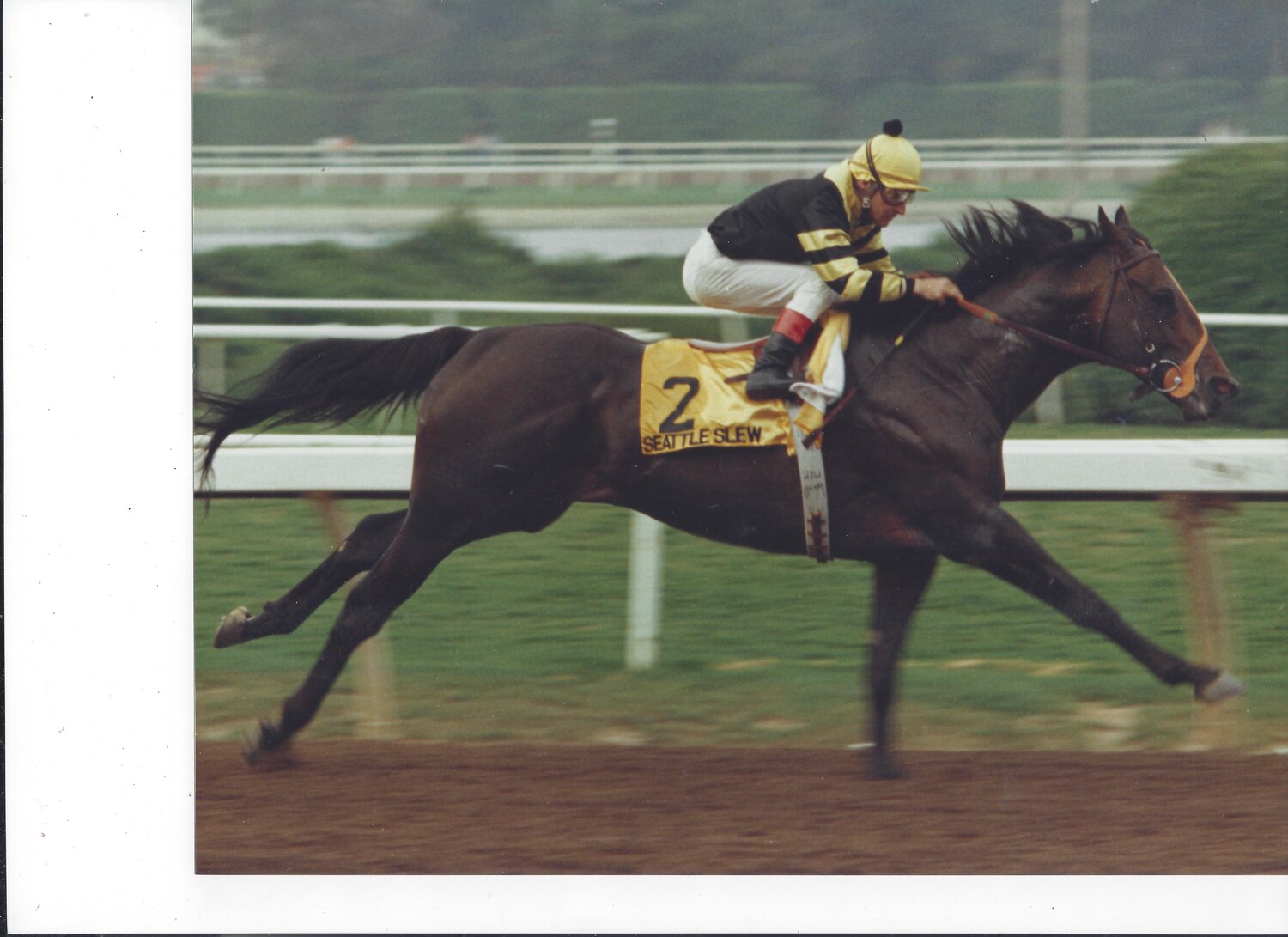 Photo+#13_SeattleSlew_NearWireFor4th_HP_SwapsStks6_07.03.1977.R8+(1).jpg