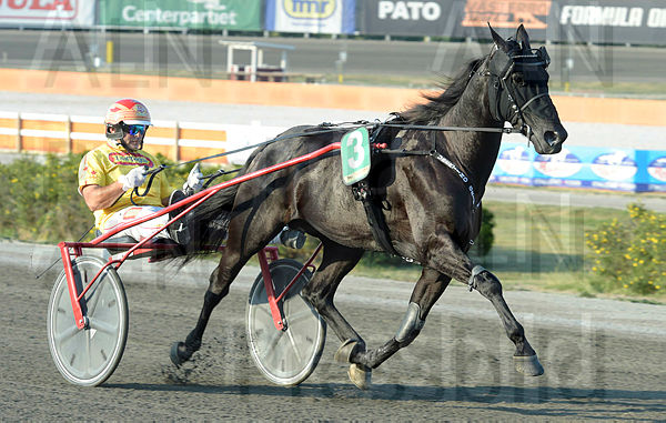 Ubertino Grif heat 2.t5b684dc2.m600.w.4salnwmark2.png.xVD3u6EnQ.jpg