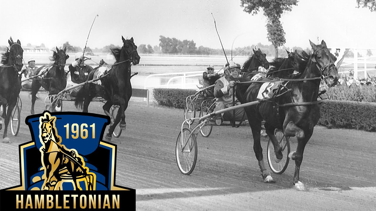 maxresdefault (9).jpg