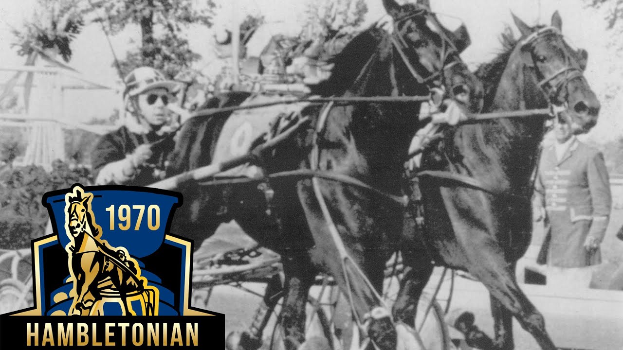 maxresdefault (10).jpg