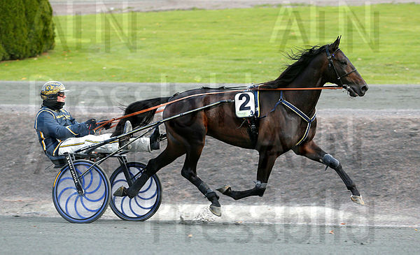Gareth Boko heat 1_2.t5bef10bf.m600.w.4salnwmark2.png.xKCgER0XA.jpg