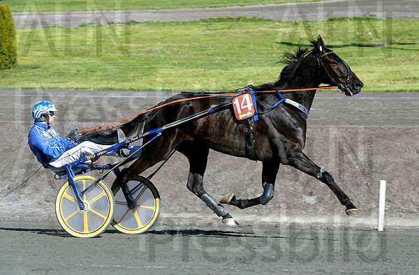 On Track Piraten heat 1.t5cebd590.m600.w.4salnwmark2.png.xzajStx2c.jpg