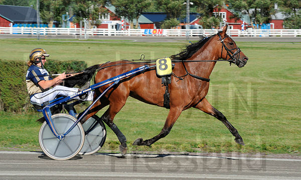 Miss Money Penny heat.t4e422f9f.m600.w.4salnwmark2.png.x8iIDbehA.jpg