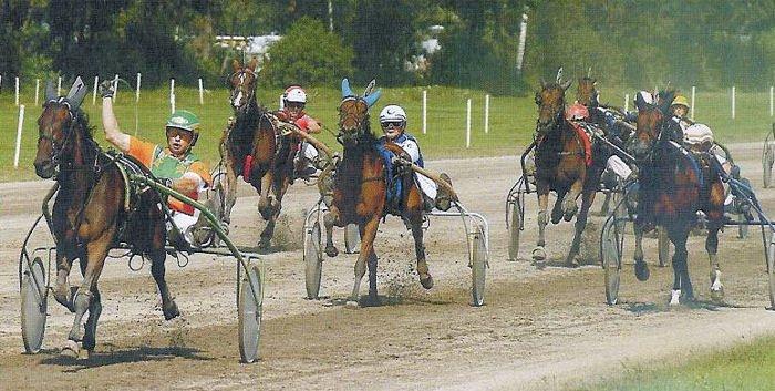 Tornado Medo Merrie Derby.jpg