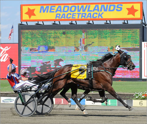 500hambo__1281279986_4245.jpg