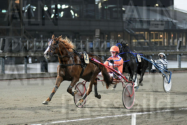 Joker of Steel mål.t5fac41b4.m600.w.4salnwmark2.png.xe7sbXASJ.jpg