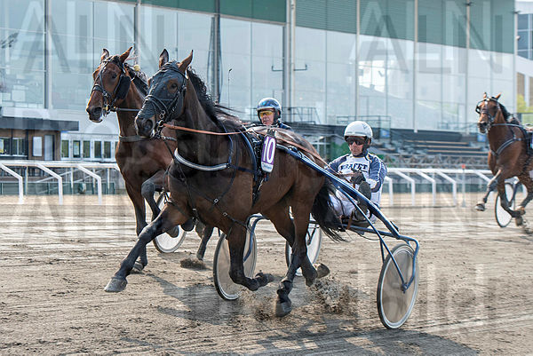 Chased målgång2.t609d32b9.m600.w.4salnwmark2.png.xsCNHRalK.jpg