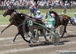 Lage-Landen-2008-Antzinthepantz-Cristophe-Martens-008-260x185.jpg