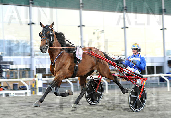 Vitruvio heat.t5f2130b4.m600.w.4salnwmark2.png.xFBU5RVzC (1).jpg