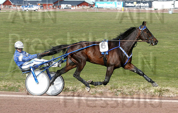 Viking Va Bene heat 1_2.t553a8875.m600.w.4salnwmark2.png.xg4XPO8Y8.jpg