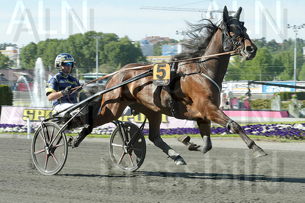 Floris Baldwin.t5b213496.m600.w.4salnwmark2.png.x_riwzogC.jpg