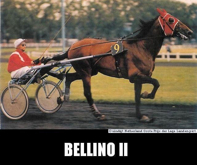 Bellino-II-00.jpg