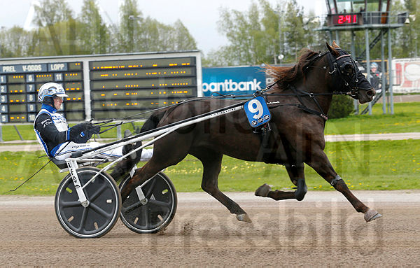 Sundbo Nova heat 1.t60abe88f.m600.w.4salnwmark2.png.xSxqt9006 (1).jpg