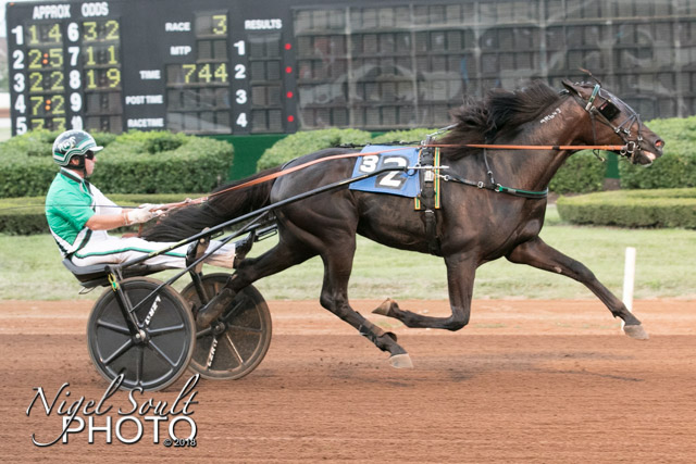 ReadyForMoni_KyssElim_190818 (1).jpg