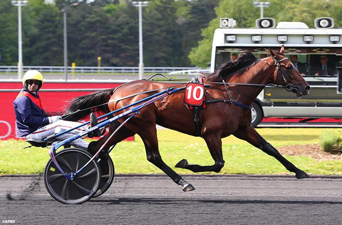20191203_Looking-superb_vincennes_Blog_690x454.jpg