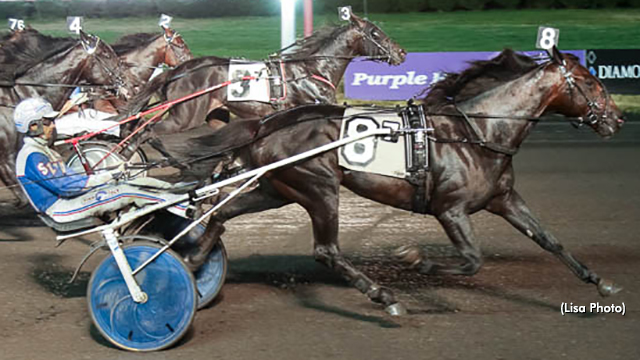 WB_071120r7-Back Of The Neck.jpg