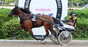Dion-Tesselaar-und-ALL-IN-LOVE-Marius-Schwarz-310x165.jpg