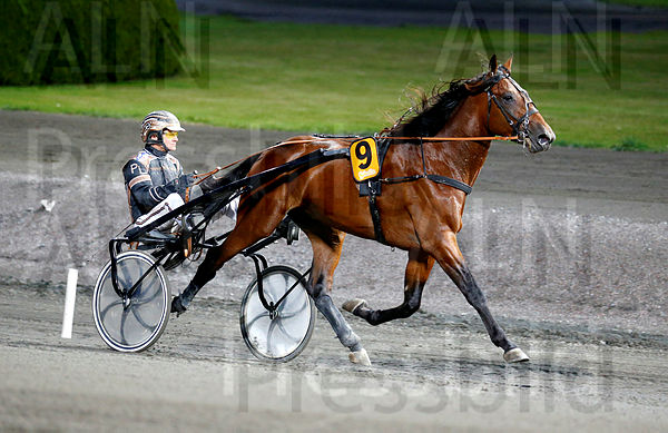 Staro Obrigado heat 1.t5fac3c92.m600.w.4salnwmark2.png.xLK8jbB9-.jpg