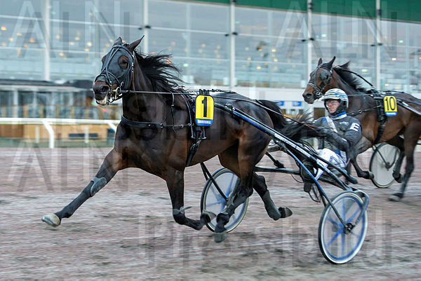 Rarity A.F. målgång.t5f9d2c48.m600.w.4salnwmark2.png.xO5S43M_M.jpg