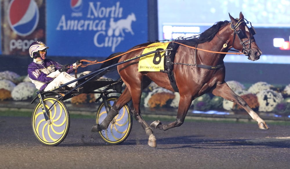 Gimpanzee-Breeders-Crown-2019-3YOCT-Claus-Andersen-Race-Seven-002.jpg