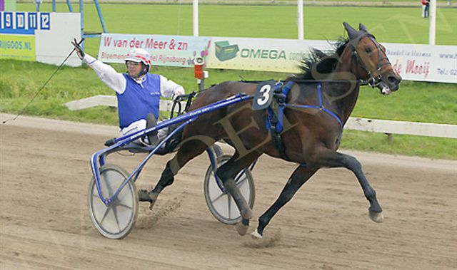 Amour dOccagnes Derby 2.jpg