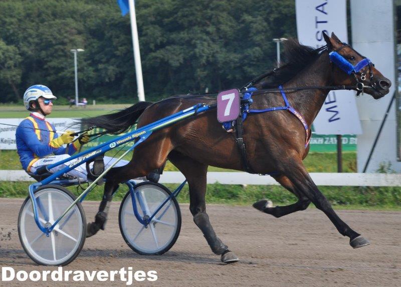 Jewel Star Derby voorw.jpg