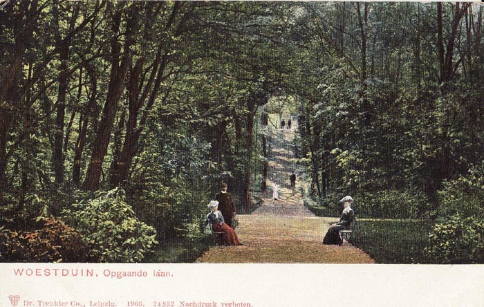 Woestduin-01.jpg